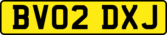 BV02DXJ