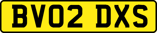 BV02DXS