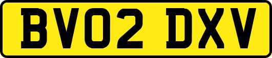 BV02DXV