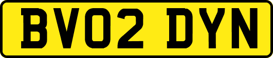 BV02DYN
