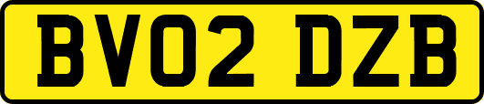 BV02DZB