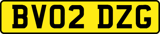 BV02DZG