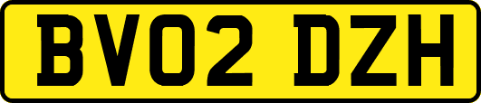 BV02DZH