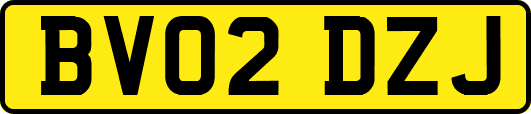 BV02DZJ
