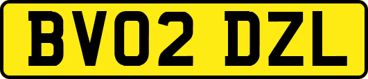 BV02DZL