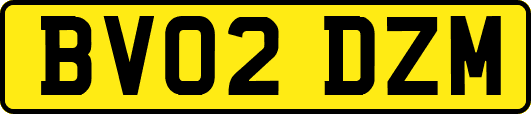 BV02DZM