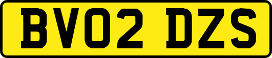 BV02DZS