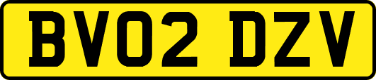 BV02DZV