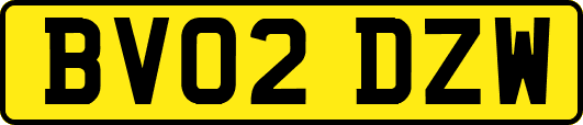 BV02DZW