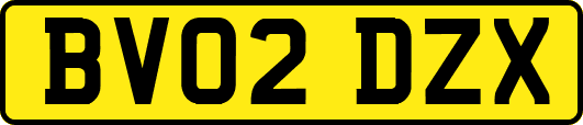 BV02DZX