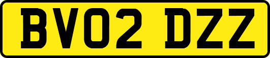 BV02DZZ