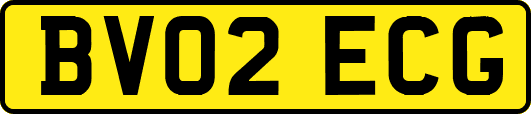 BV02ECG
