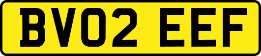 BV02EEF