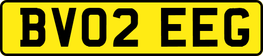 BV02EEG