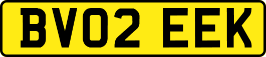 BV02EEK