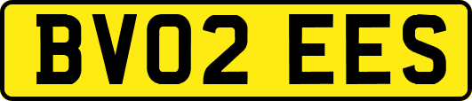 BV02EES