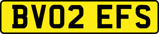 BV02EFS