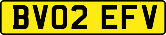 BV02EFV