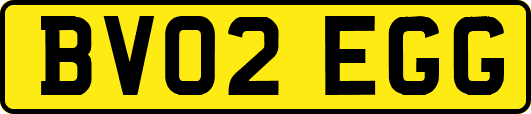 BV02EGG