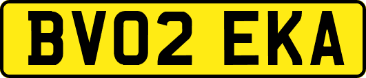 BV02EKA