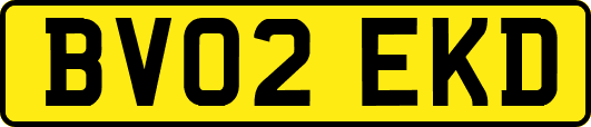 BV02EKD