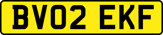 BV02EKF