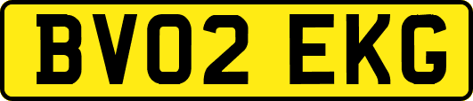 BV02EKG