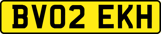 BV02EKH