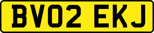 BV02EKJ
