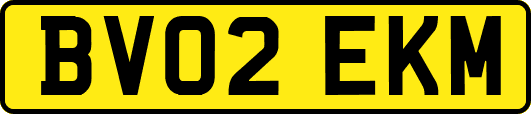 BV02EKM
