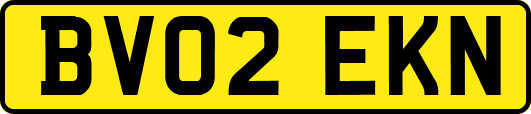 BV02EKN