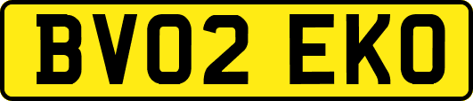 BV02EKO