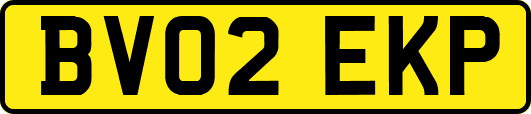 BV02EKP