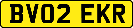 BV02EKR