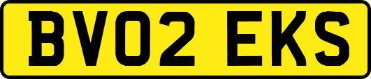 BV02EKS
