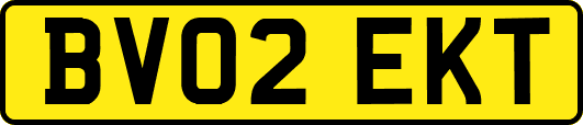 BV02EKT