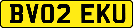 BV02EKU