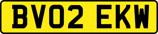 BV02EKW