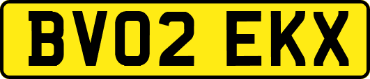 BV02EKX