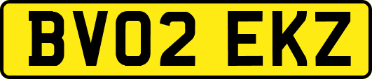 BV02EKZ