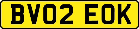 BV02EOK