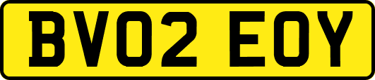 BV02EOY