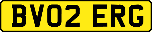 BV02ERG