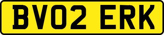 BV02ERK