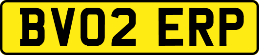 BV02ERP