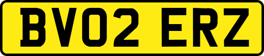 BV02ERZ