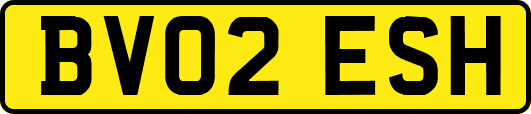 BV02ESH