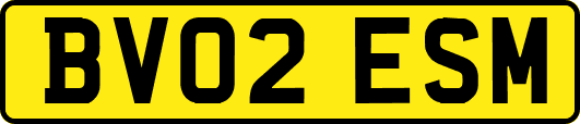 BV02ESM