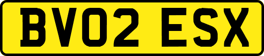 BV02ESX