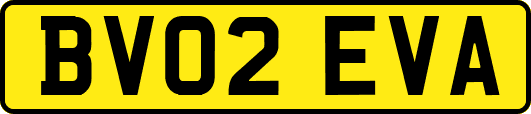 BV02EVA